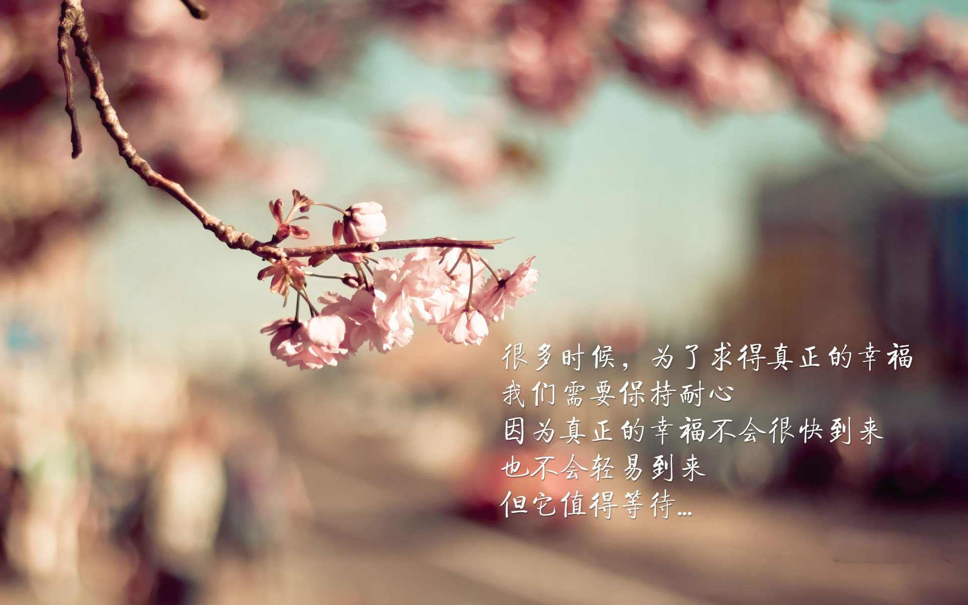 欧冠新纪元,上海队强势崛起,掀翻传统豪强爵士