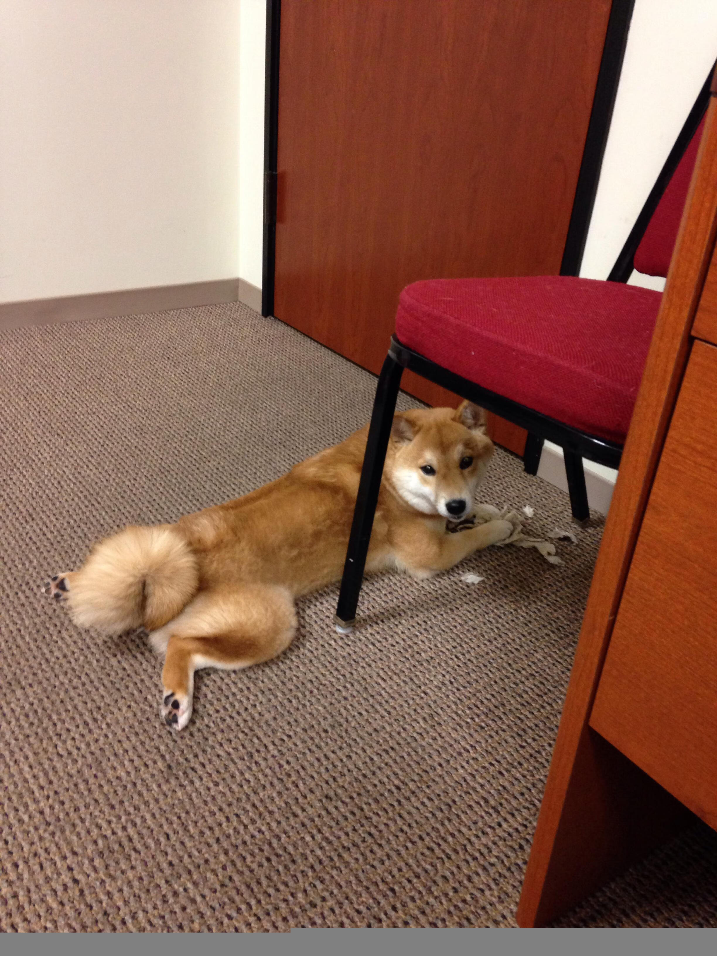 绿茵场上的东决，摩洛哥闪电战击碎切尔西铁幕