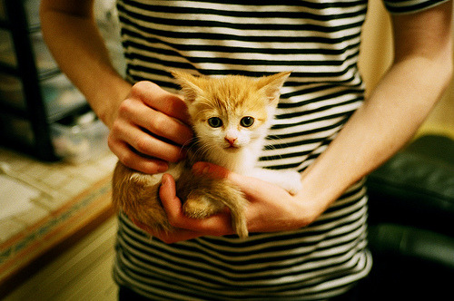 东方力量展雄风，广东队轻取凯尔特人，约基奇缘何成关键先生？