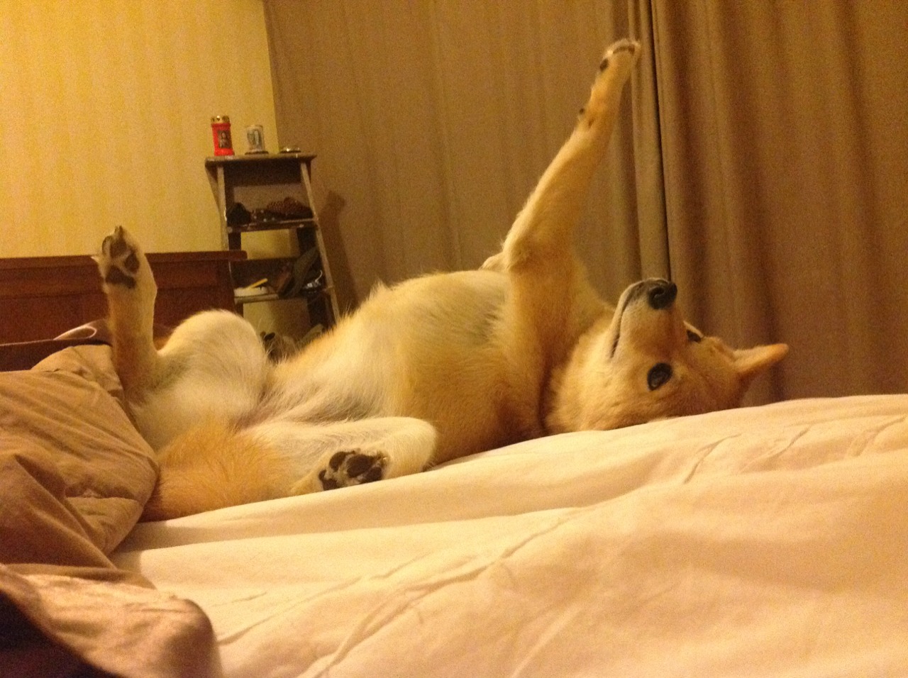 破壳之痛，当鹈鹕洪流冲破新疆防线，看杰伦·格林如何浴火新生