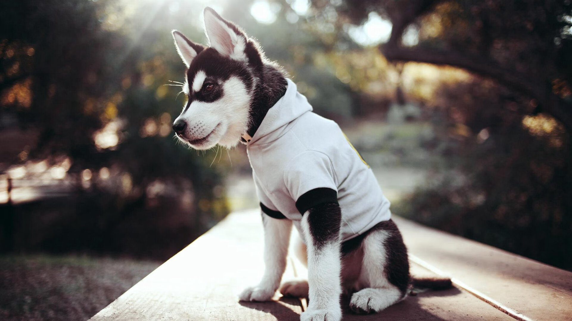 阿拉巴钢铁防线印证实力，毕尔巴鄂提前终结悬念令紫百合凋零