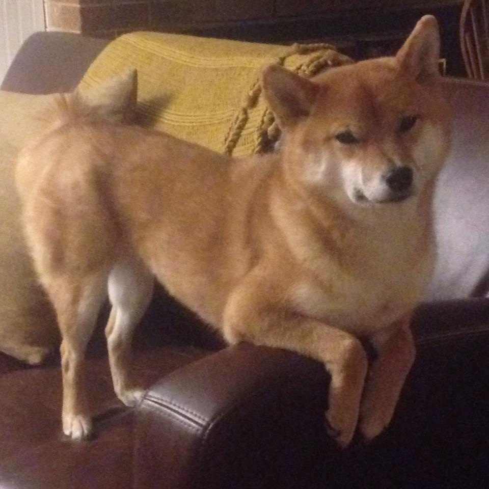 绿茵战场上的奥运式对决，当皇马与塞维利亚上演周期关键战