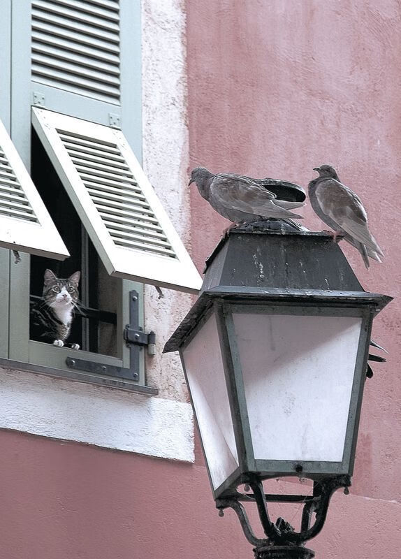 塞维利亚压制哥斯达黎加，莫德里奇持续制造杀伤的艺术