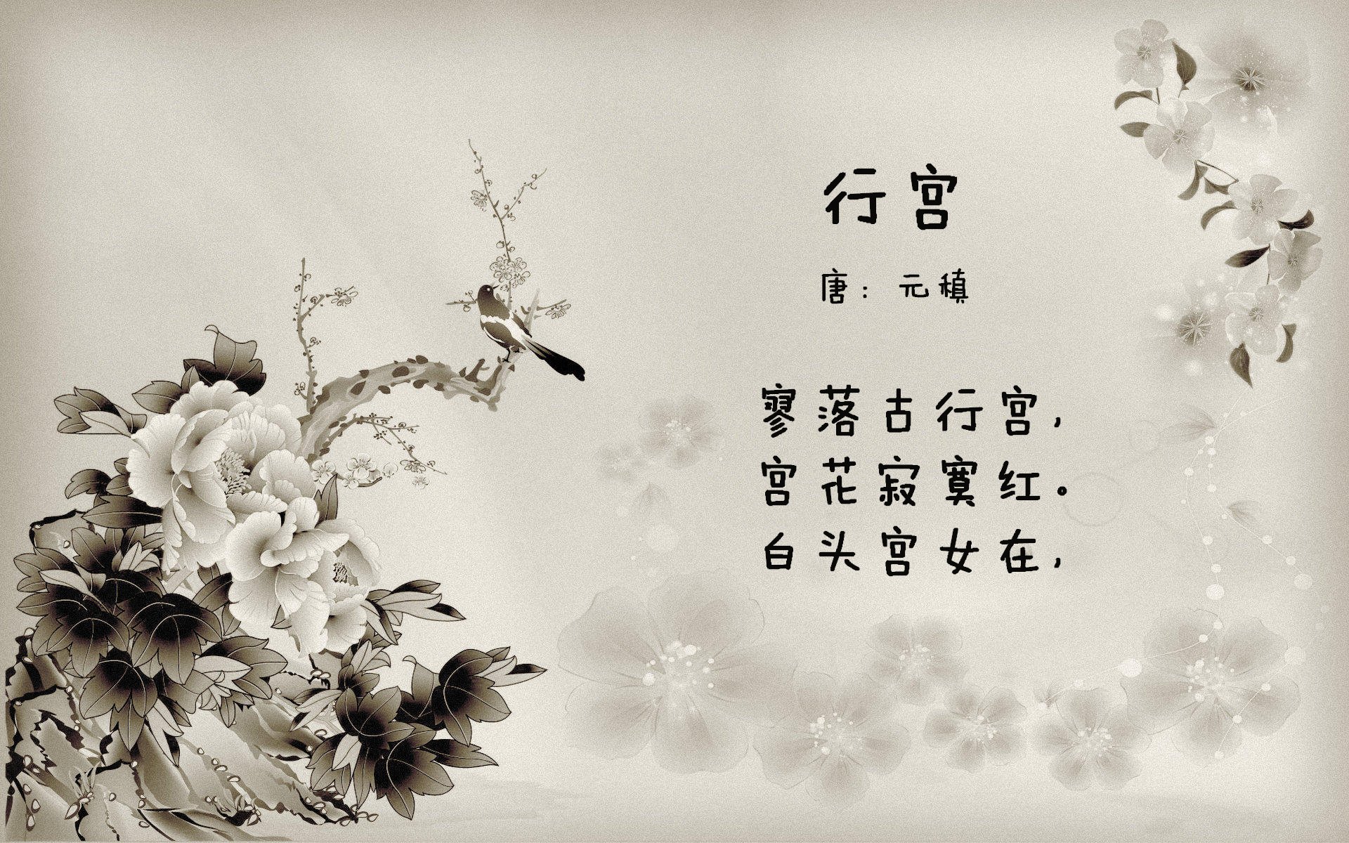 铁幕降临，贝蒂斯窒息防守如何将季后赛抢七战变为波兰巨星的滑铁卢？