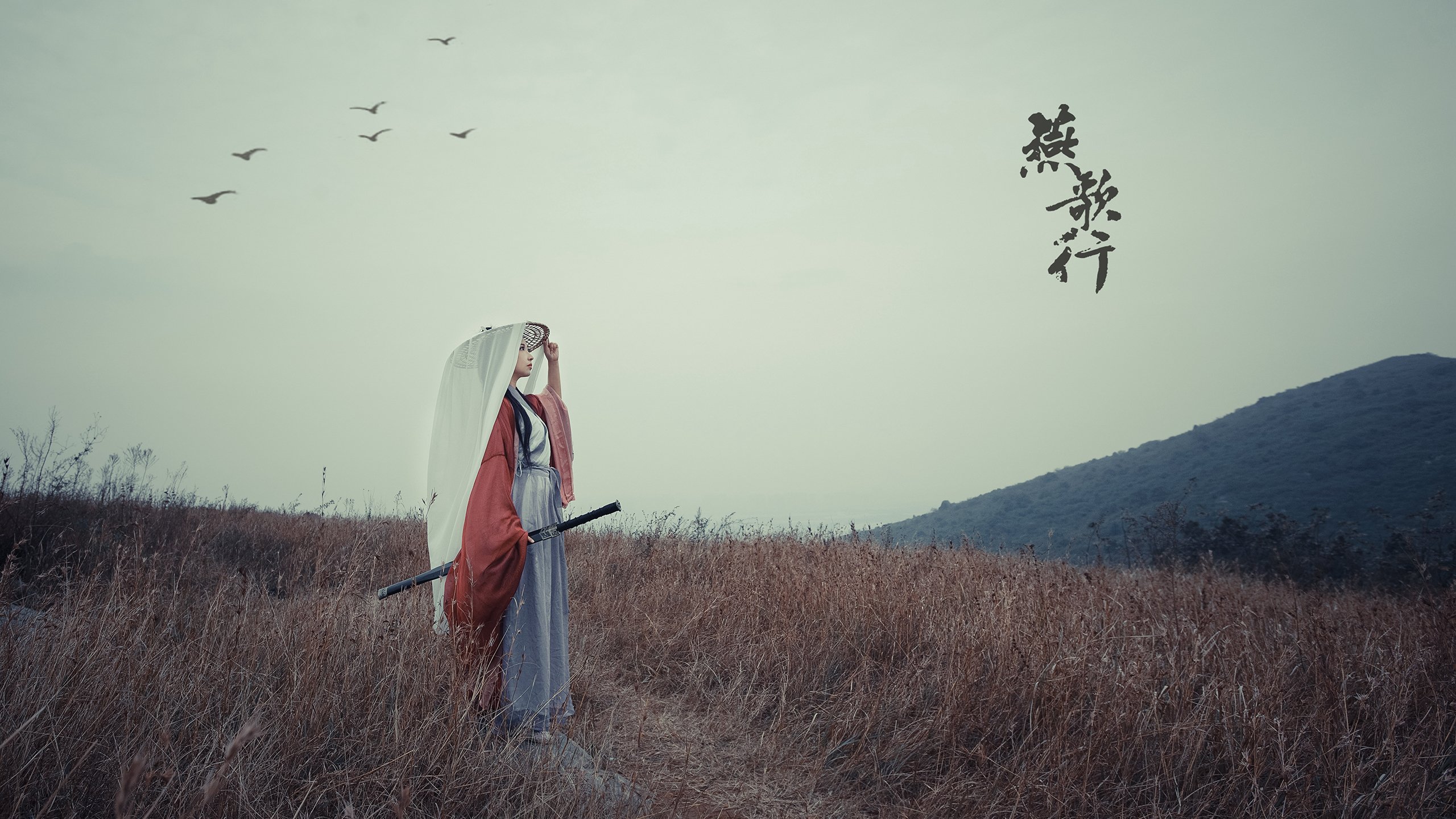 铁血之刃与玫瑰荆棘，德罗赞末节封神与开拓者的生存突围