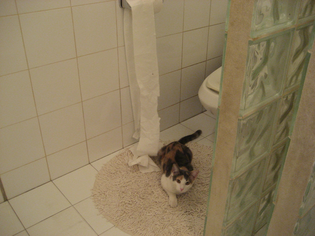 奇才鏖战力克开拓者，排名争夺战再添变数