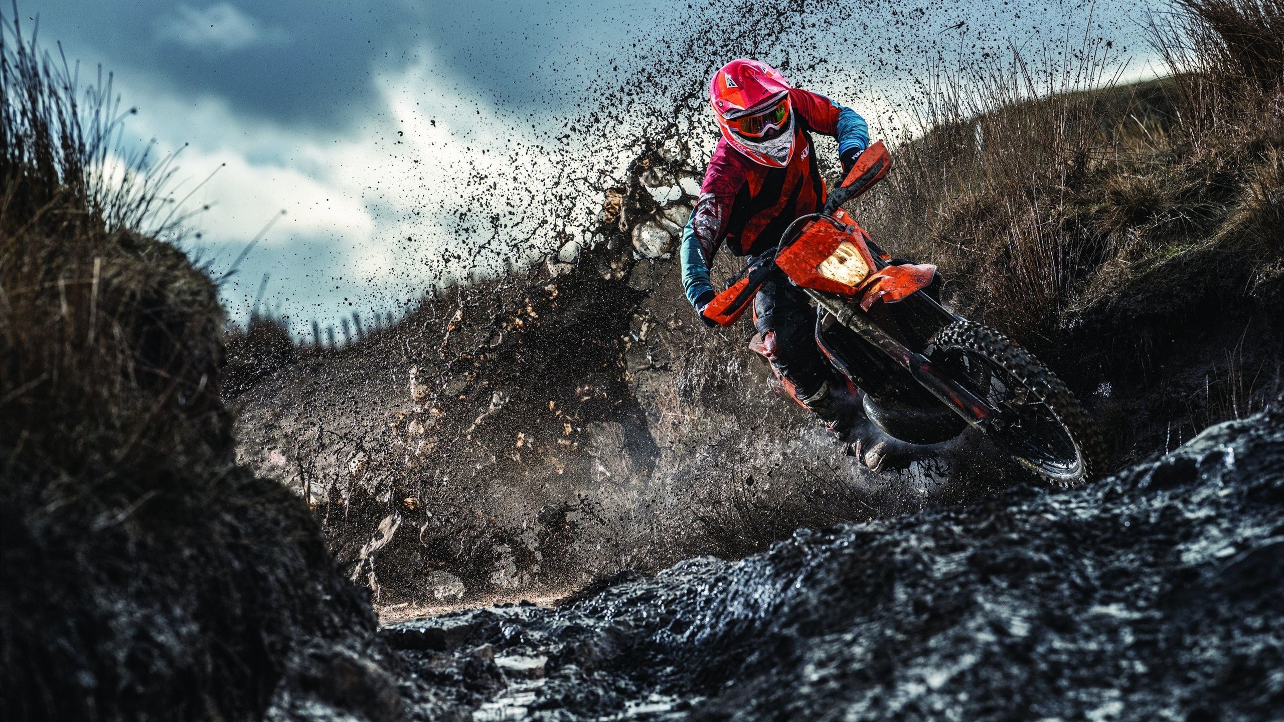 沙漠闪电与钢铁屏障，卡塔尔速胜与德里赫特的统治之夜