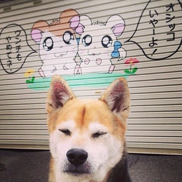 开云体育官方网站-尼斯智慧风暴终结南美神话，久保建英，这场智勇协奏曲的终章书写者