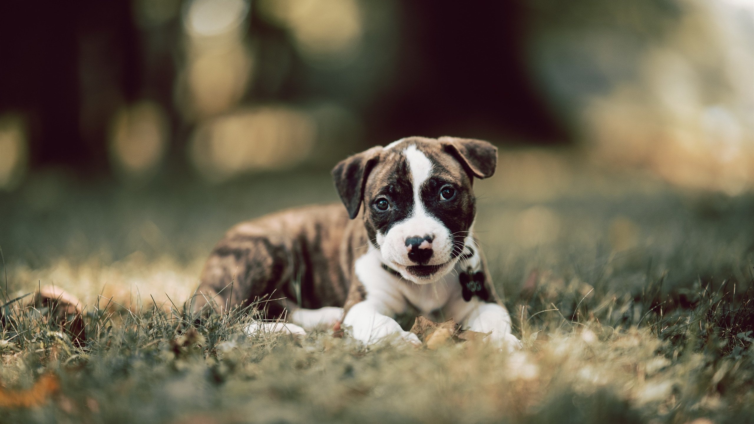开云体育入口-西甲国家德比之夜，文班亚马式持续杀伤力闪耀绿茵场