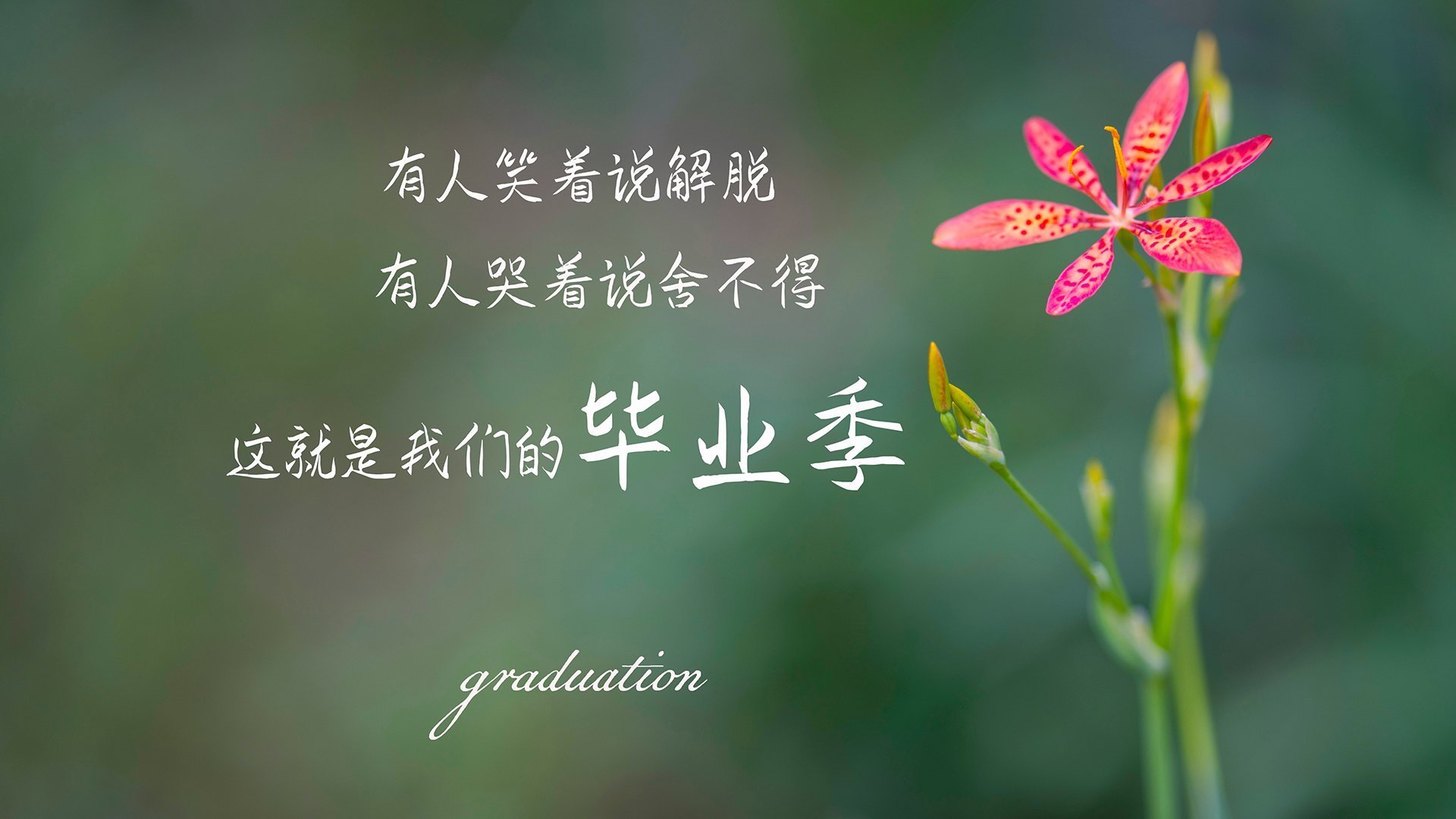 瑞士强势逆袭西班牙,格列兹曼关键先生闪耀赛场