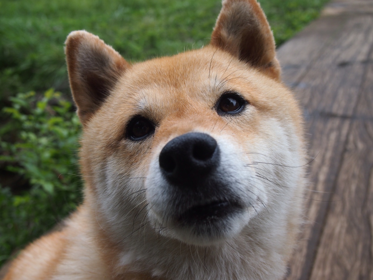 开云体育平台APP-克瓦拉茨赫利亚一锤定音，克罗地亚军团攻克梅阿查