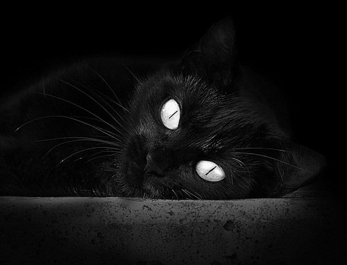 开云APP-风暴之眼与泥石流，库里攻防统治与公牛碾压背后的篮球意志