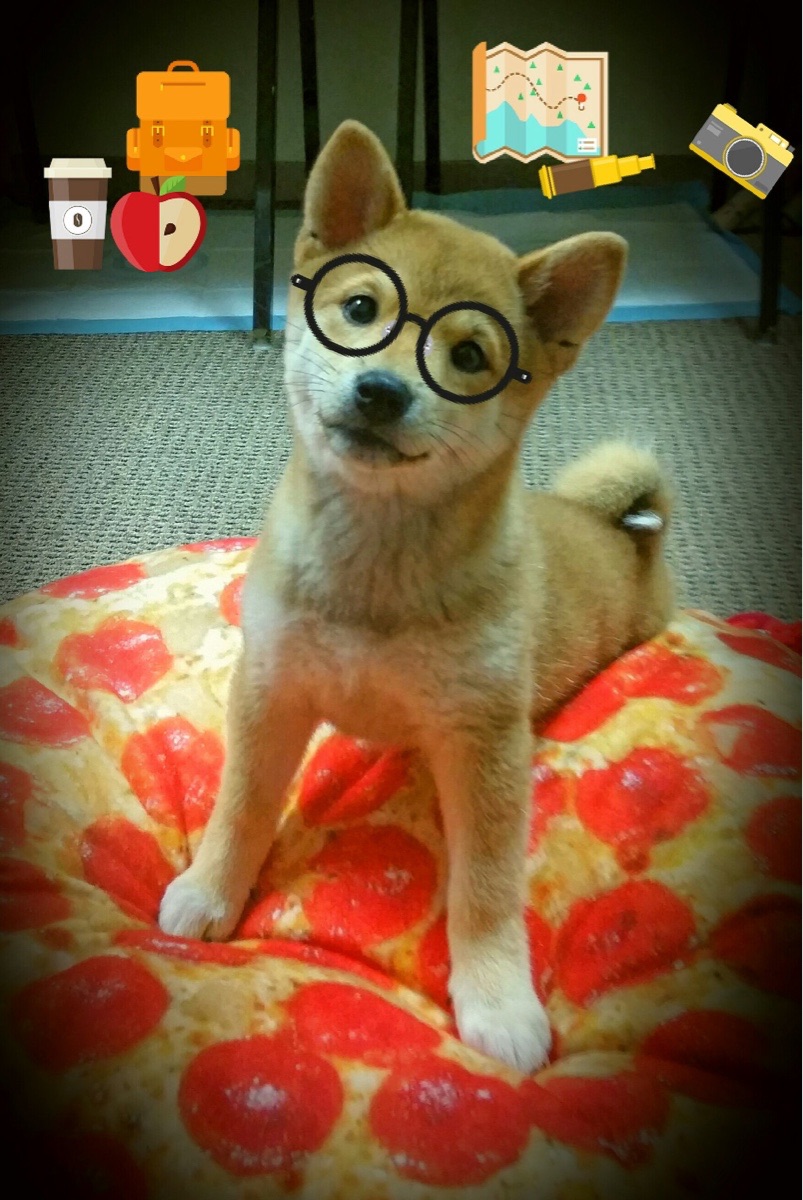 字母哥大场面先生显神威，勇士队激战吉林队告捷